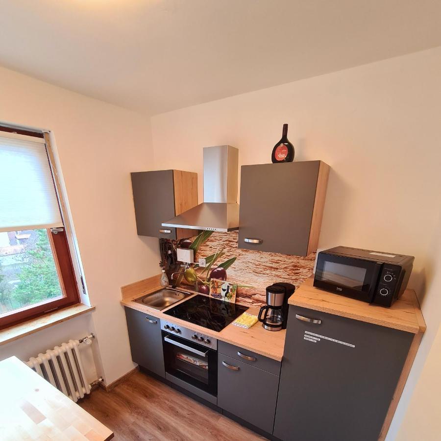 1,5 Zimmer Apartments Mit Traumhafter Aussicht Бад Кисинген Екстериор снимка